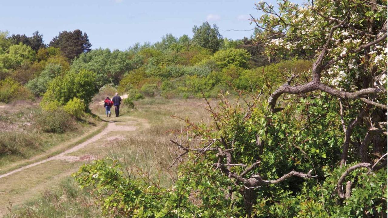 Kust-, Fiets-, Wandel-, Rust- & Cultuurlocatie Villa Castricum Eksteriør billede